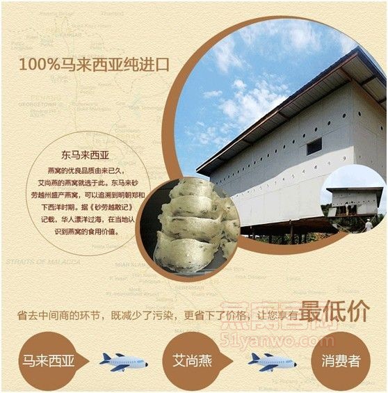 艾尚燕燕窝