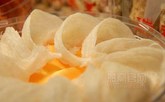 燕窝多少钱一斤