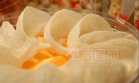 燕窝什么季节食用