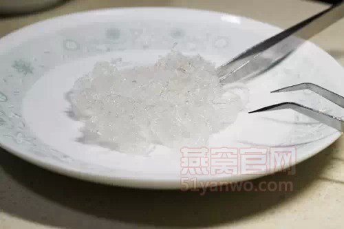 燕窝是怎么形成的