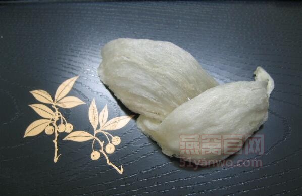 认识燕窝