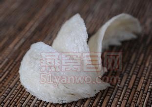 认识燕窝