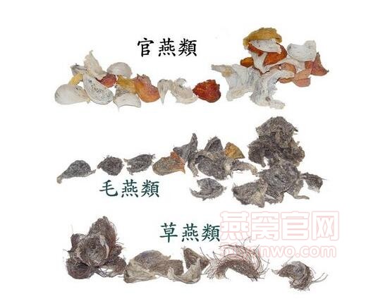 燕窝的种类