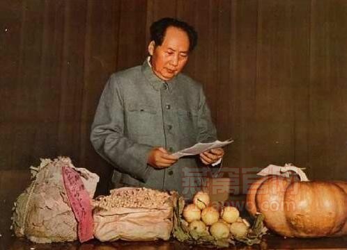 名人对燕窝的评价