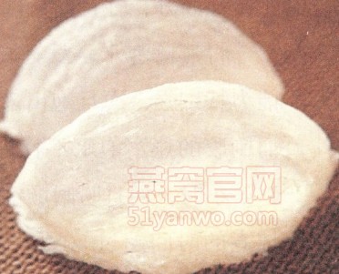 燕窝