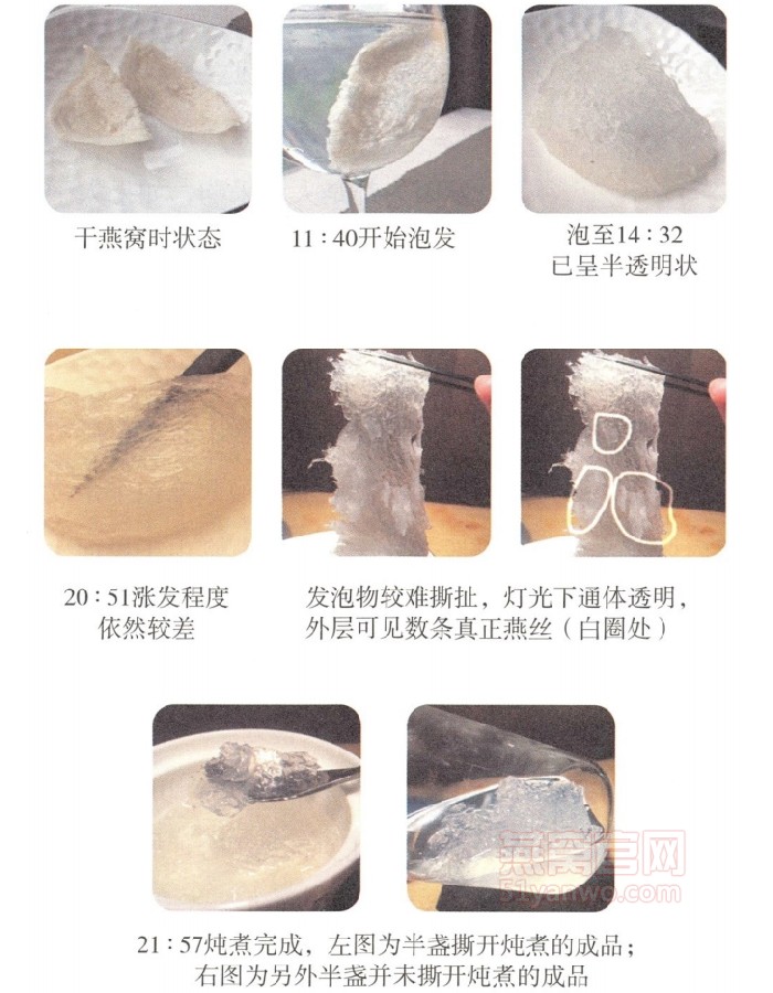 假燕窝