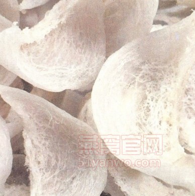 不染色燕窝
