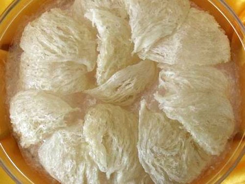 燕窝的保存方法