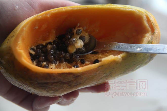 冰糖木瓜炖燕窝的做法