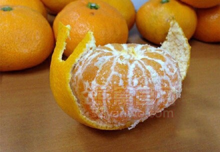 橘子炖燕窝怎么做好吃