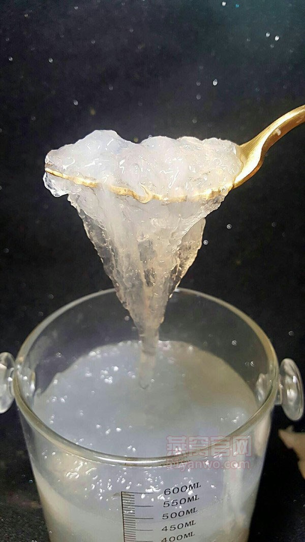 橘子炖燕窝的家常做法