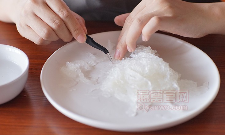 薏米燕窝，美丽的满天星燕窝