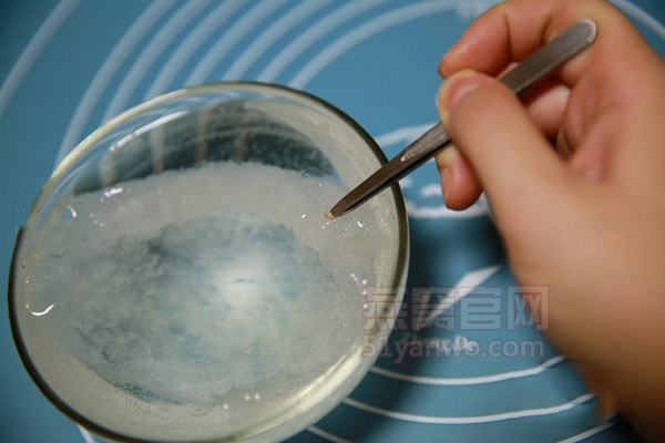 养生冰糖椰浆燕窝怎么做好吃