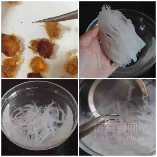 黑糖桃胶燕窝家常做法