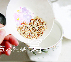 如何做红枣薏米炖燕窝