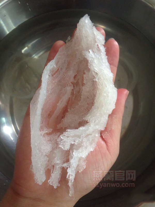 如何做红枣杞子炖燕窝