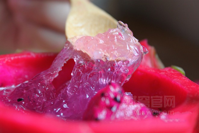 火龙果燕窝家常做法