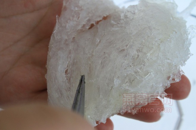 火龙果燕窝怎么做