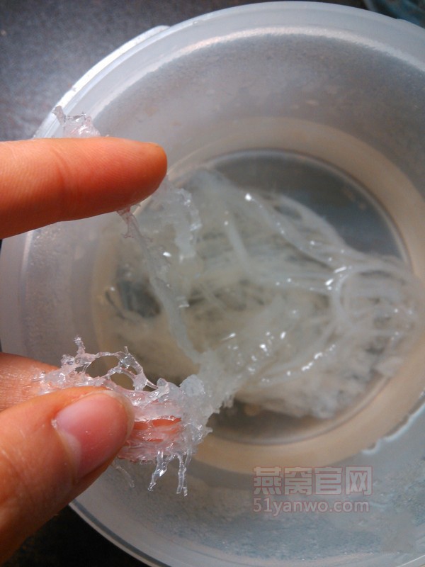 蔓越莓牛奶炖燕窝的菜谱