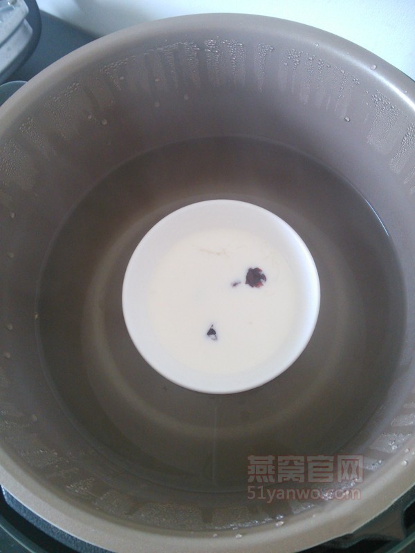 蔓越莓牛奶炖燕窝的家常做法