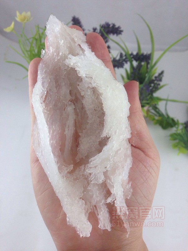 木瓜雪耳炖燕窝的菜谱