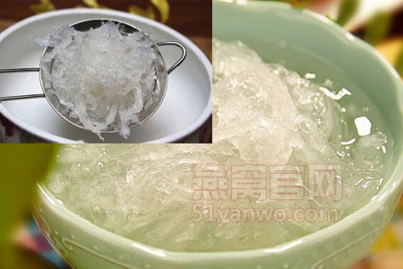 木瓜燕窝的做法的菜谱