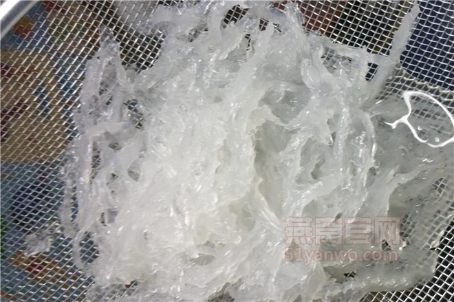 牛奶冰糖炖燕窝的做法
