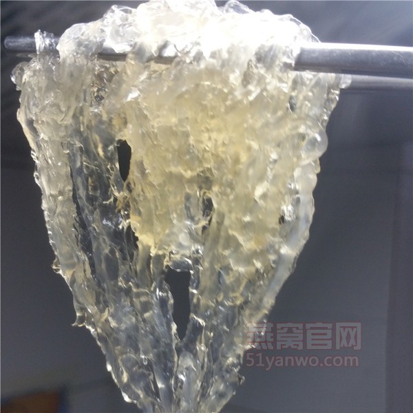 牛奶冰糖炖燕窝家常做法