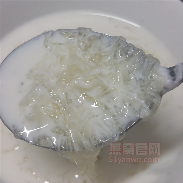 牛奶冰糖炖燕窝家常做法