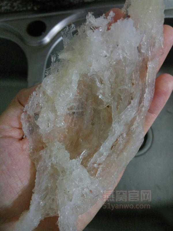 桃胶红枣炖燕窝怎么做