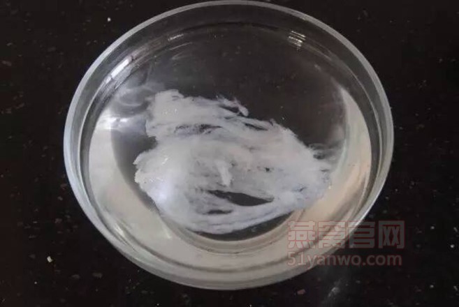 桃胶蔓越莓燕窝做法大全