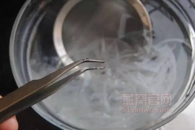 桃胶蔓越莓燕窝家常做法