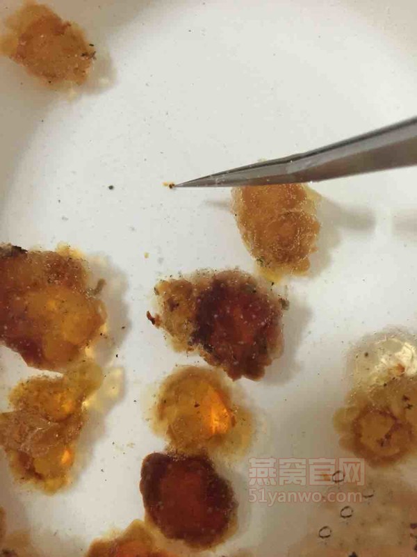桃胶蔓越莓燕窝怎么做