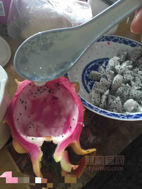 无添加火龙果现炖燕窝家常做法