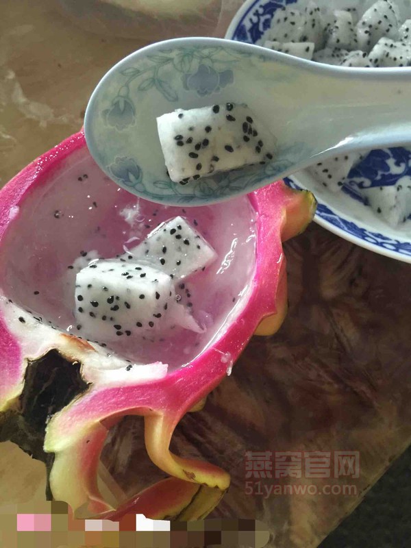 无添加火龙果现炖燕窝家常做法