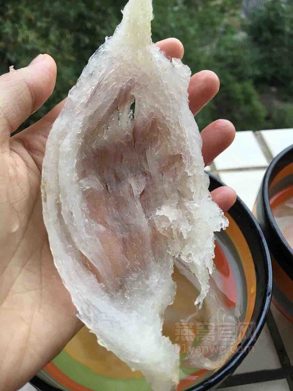 星空燕窝的做法