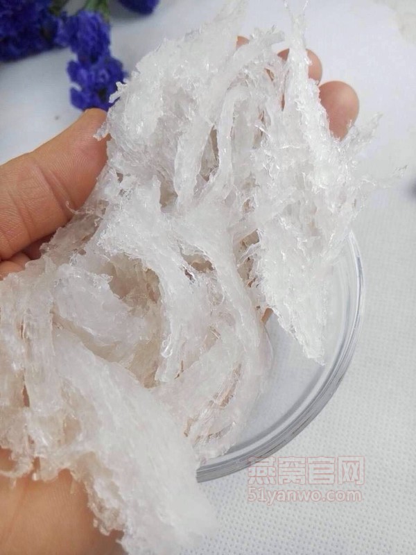 雪梨雪耳炖燕窝的菜谱
