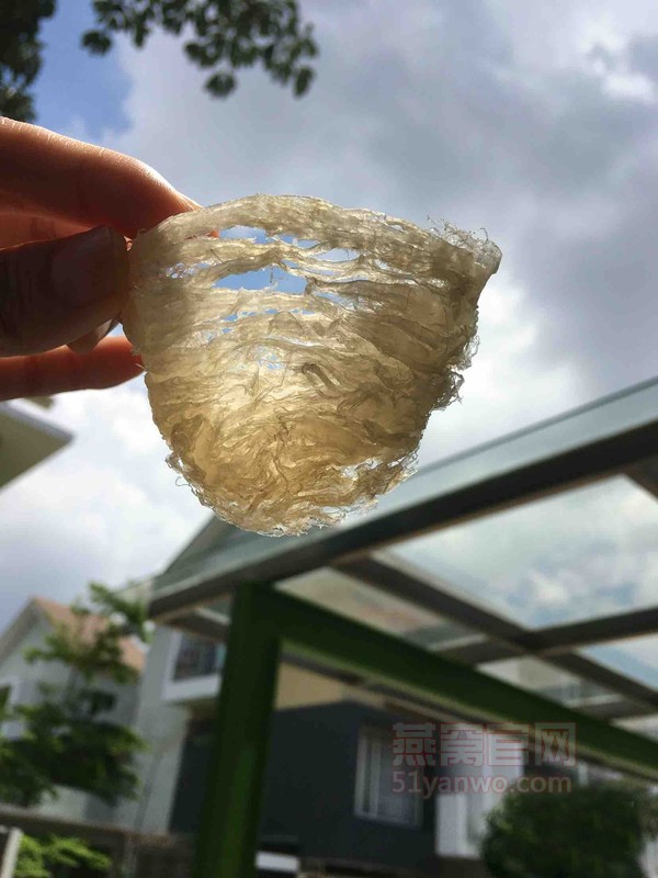 燕窝红枣枸杞的家常做法