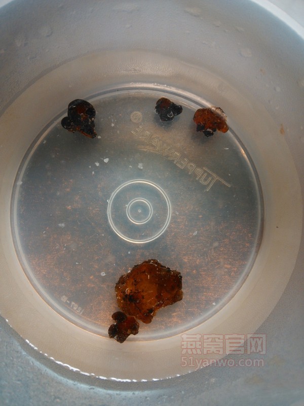如何做燕窝桃胶滋补汤