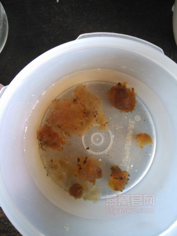 燕窝桃胶滋补汤怎么做