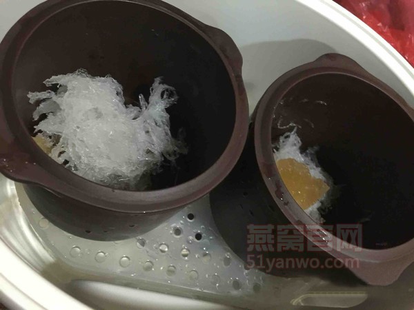 椰奶炖燕窝做法大全