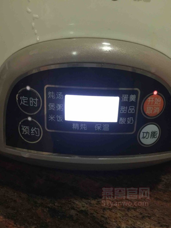 如何做椰奶炖燕窝