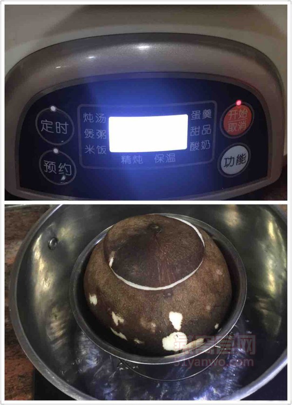 原只椰子炖燕窝家常做法