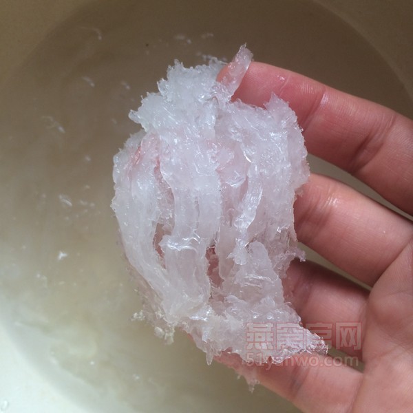 滋补燕窝的家常做法