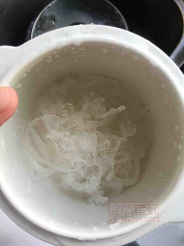 炖燕窝的家常做法