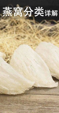 燕窝分类