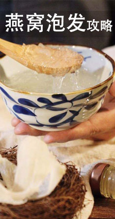 燕窝泡发攻略