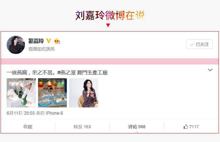 刘嘉玲围脖
